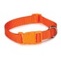 Casual Canine Nylon Dog Collars 14-20 in, Orange (14-20, Orange)