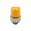 Cooper Industries Arrow Hart Ultra Grip Locking Plug