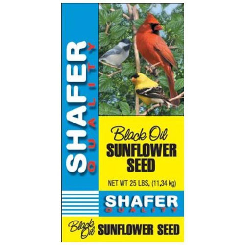Shafer Generic Black Oil Sunflower Seed