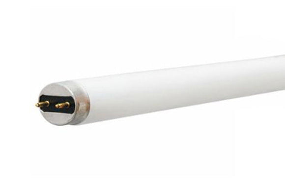 GE Lighting 2' T8 Fluorescent Lamp